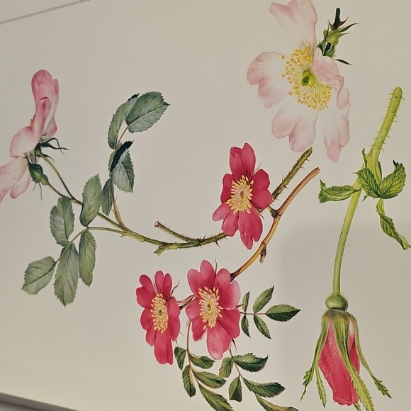 Coffee Table Book - Picture 4 of 4